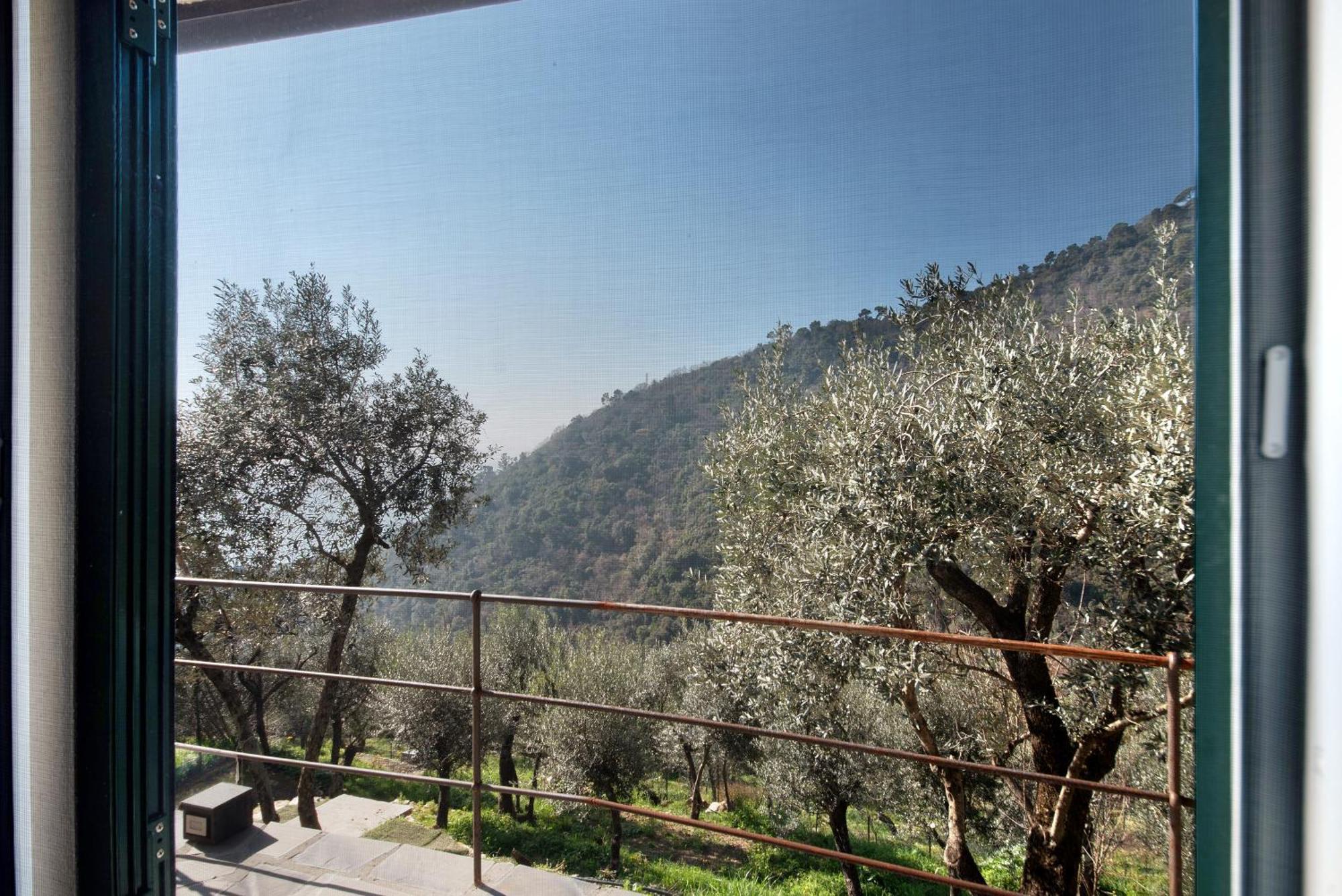 Ca' Du Massunin Daire Recco Dış mekan fotoğraf